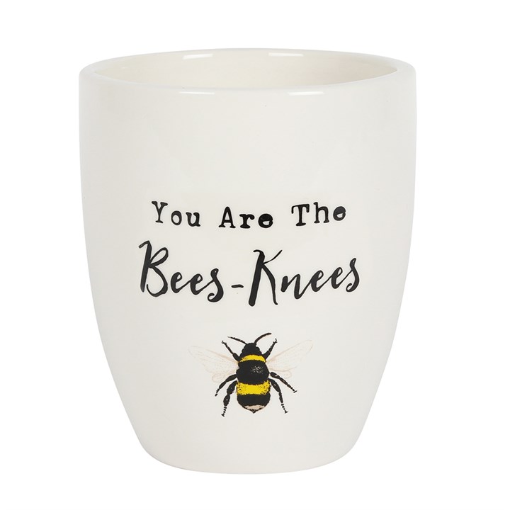 ceramic plant pot with an illustration of a bee on it underneath the phrase, "You are the bees-knees"