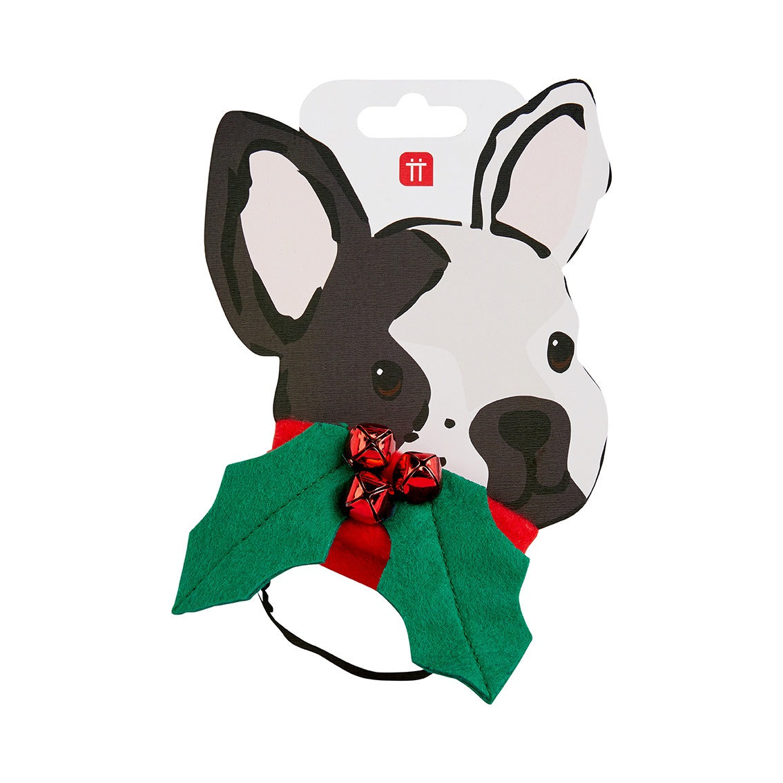 Festive holly dog collar in packaging